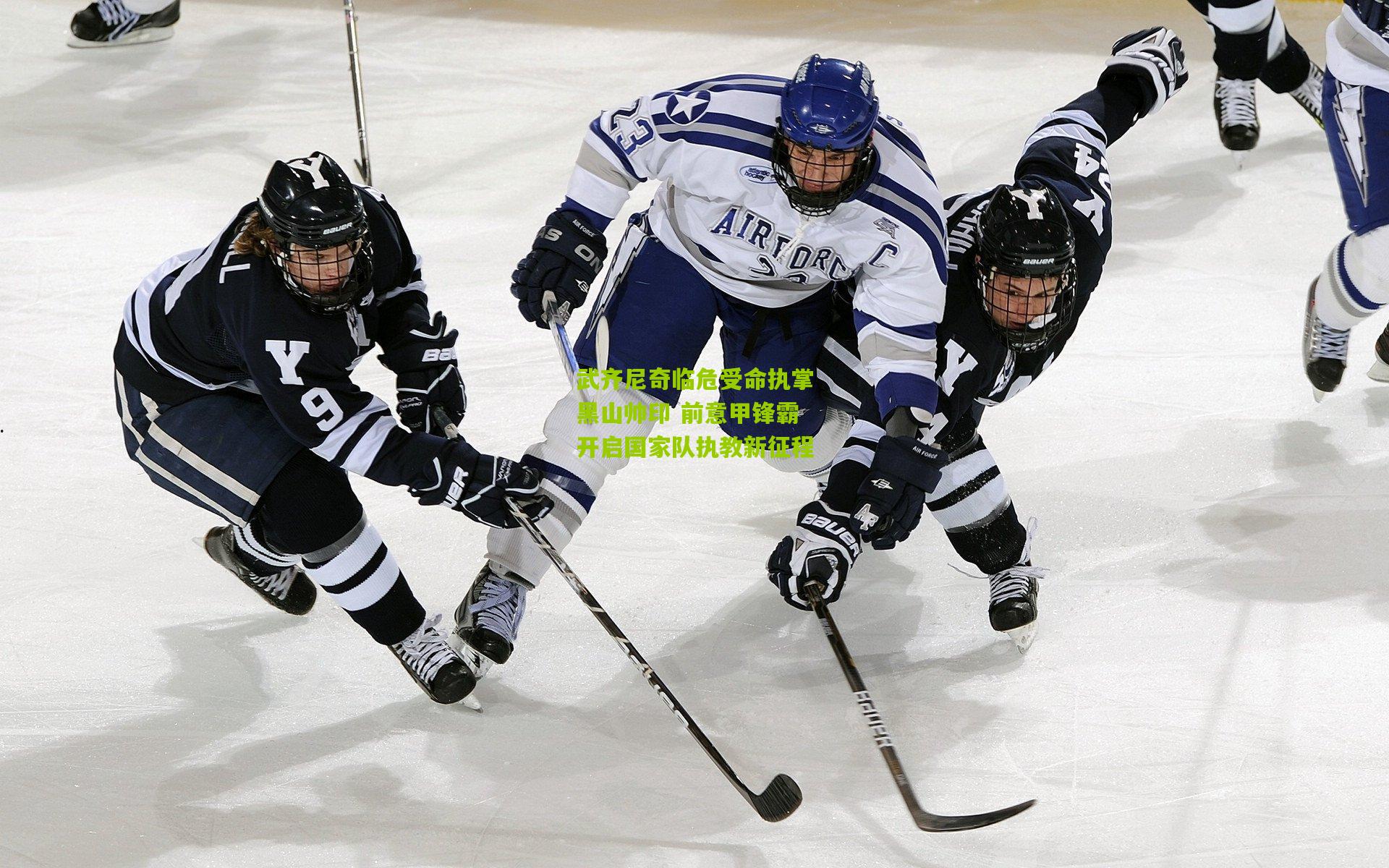 武齐尼奇临危受命执掌黑山帅印 前意甲锋霸开启国家队执教新征程