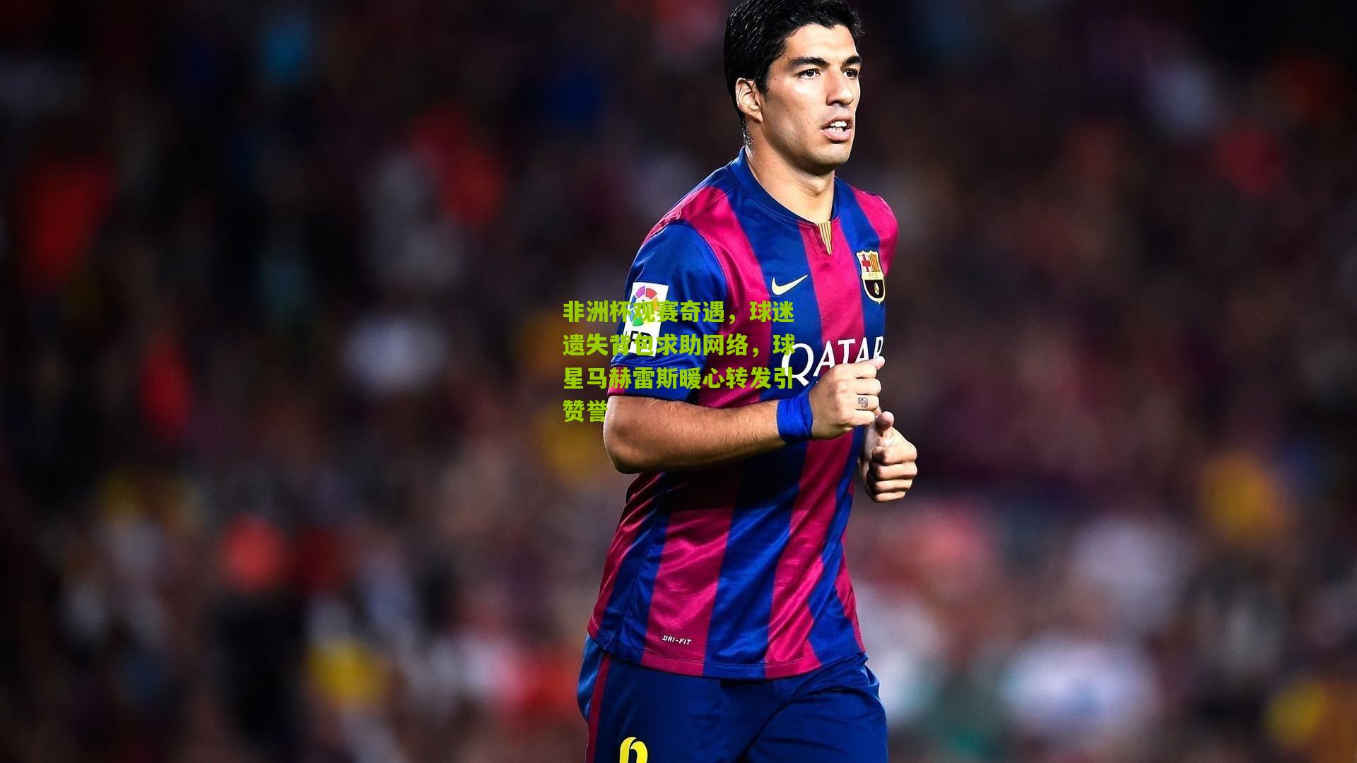 非洲杯观赛奇遇，球迷遗失背包求助网络，球星马赫雷斯暖心转发引赞誉